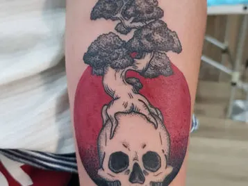 ¡Últimos cursos de tatuaje del año! ¡Últimos cursos de tatuaje del año!